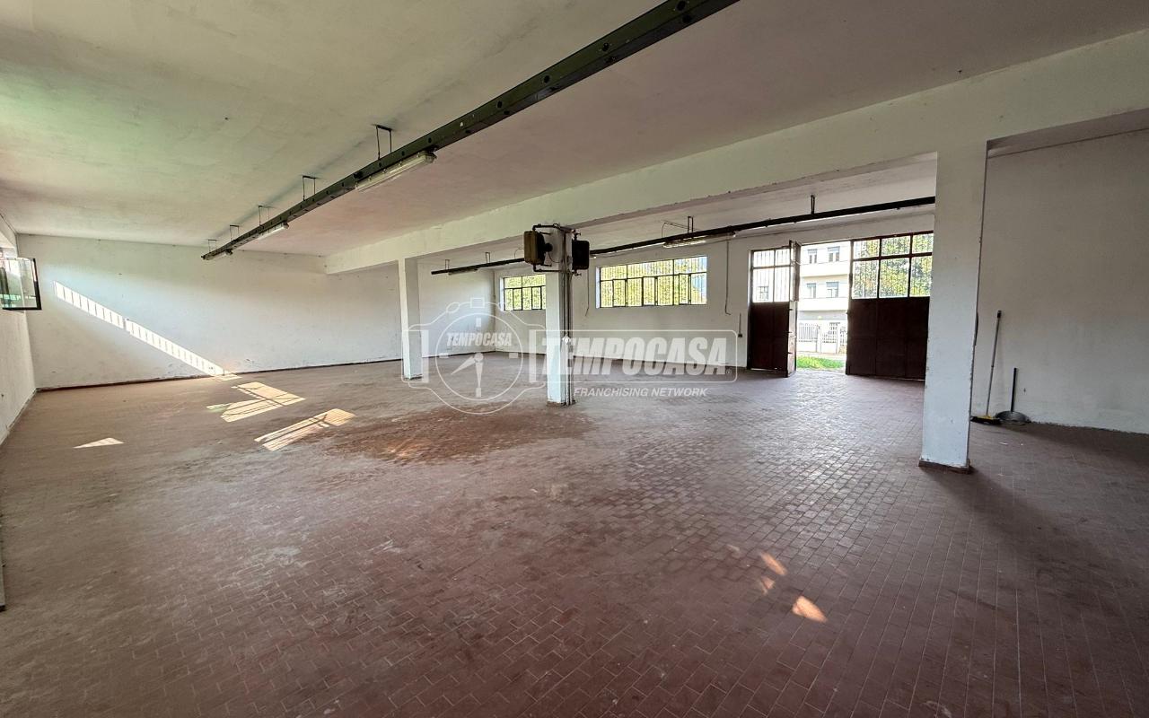 immagine annuncio 10 di 15