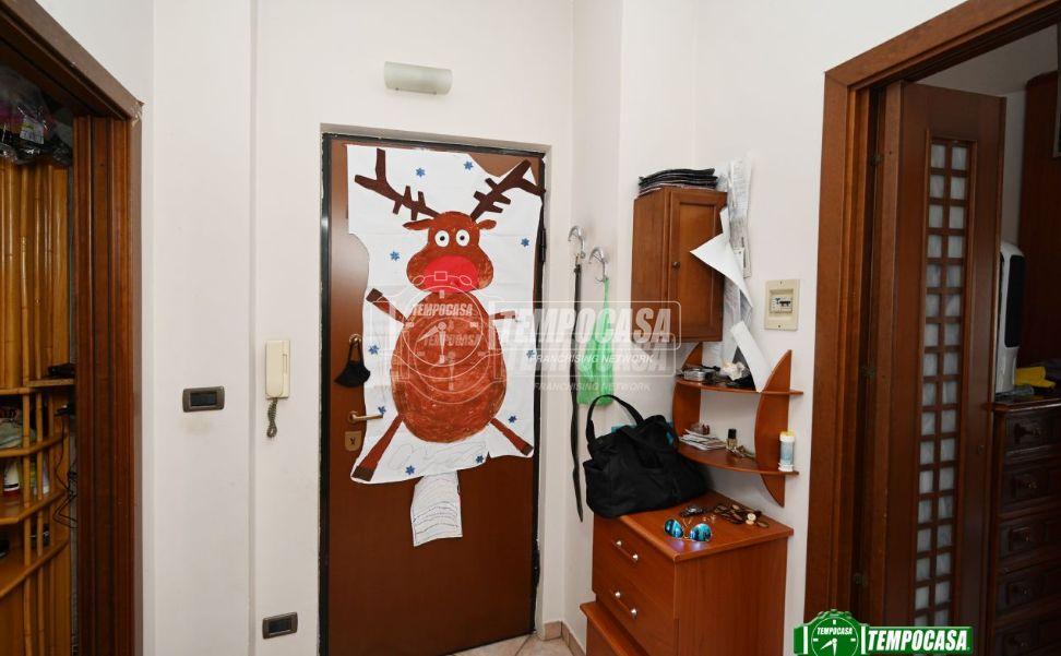 immagine annuncio 1 di 13