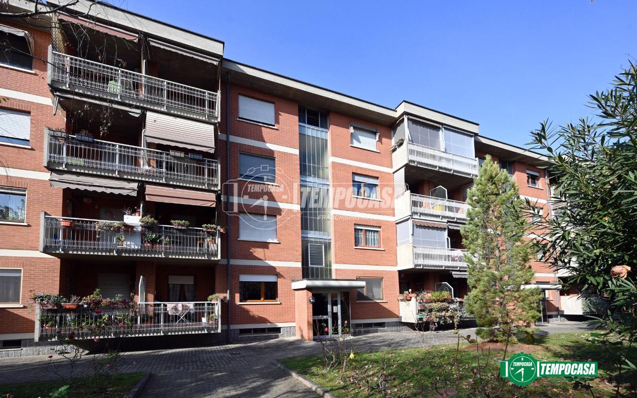 immagine annuncio 4 di 15