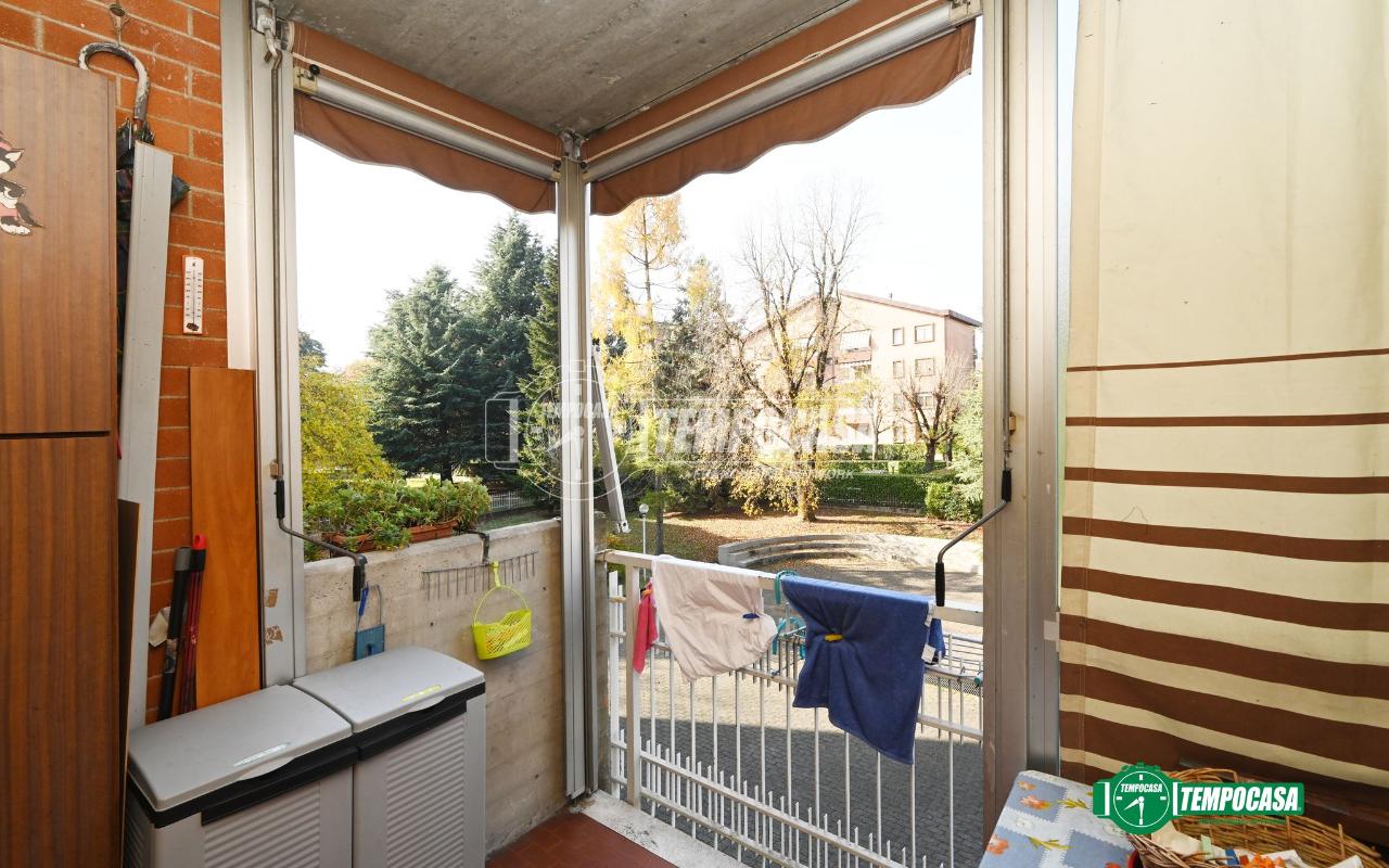 immagine annuncio 12 di 15