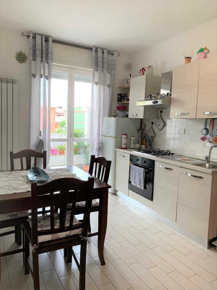 immagine annuncio 2 di 6