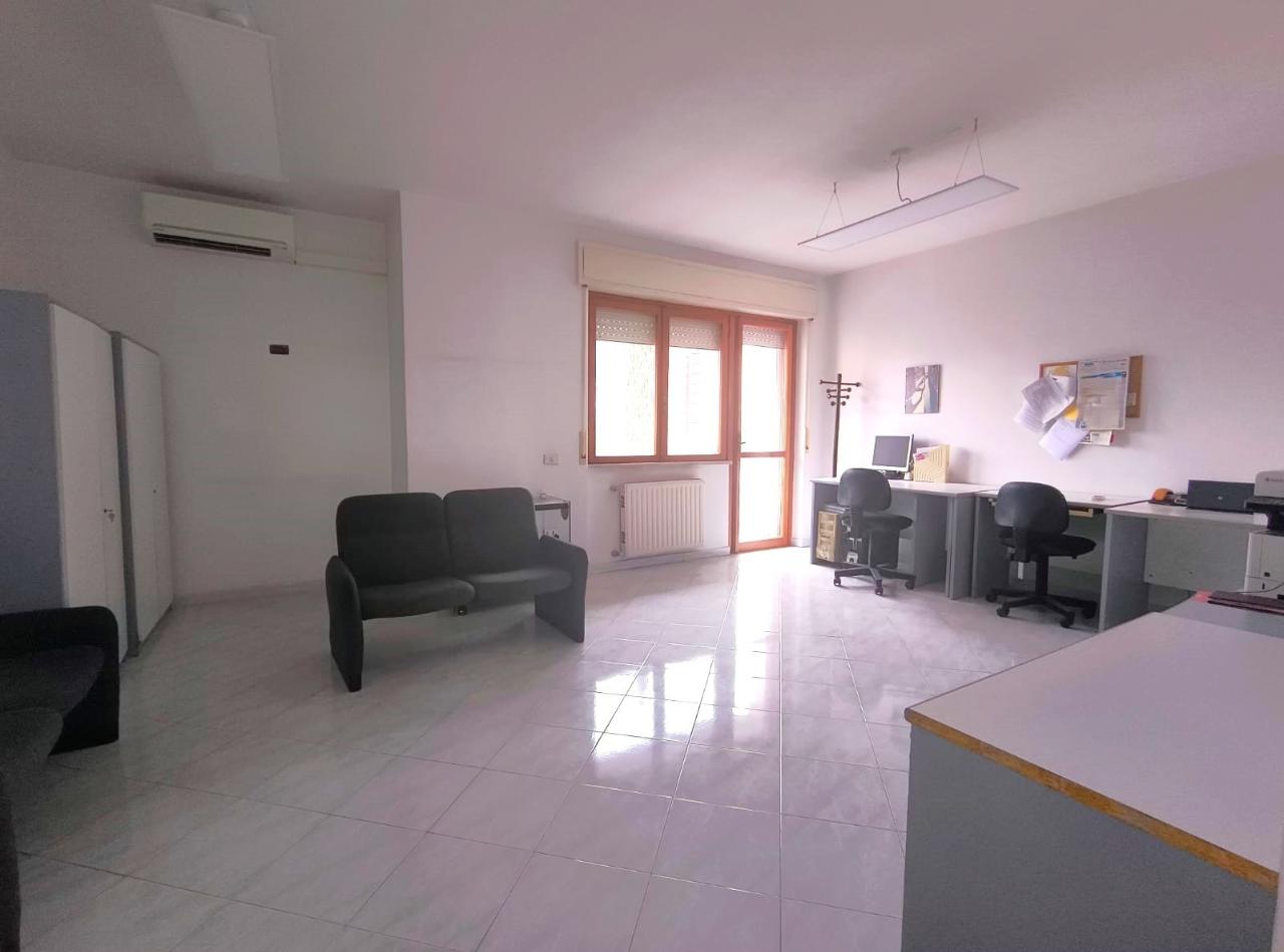 immagine annuncio 1 di 8