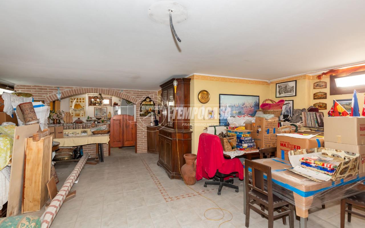 immagine annuncio 12 di 15