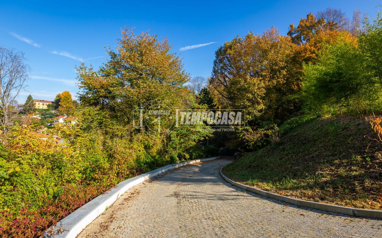 immagine annuncio 8 di 12