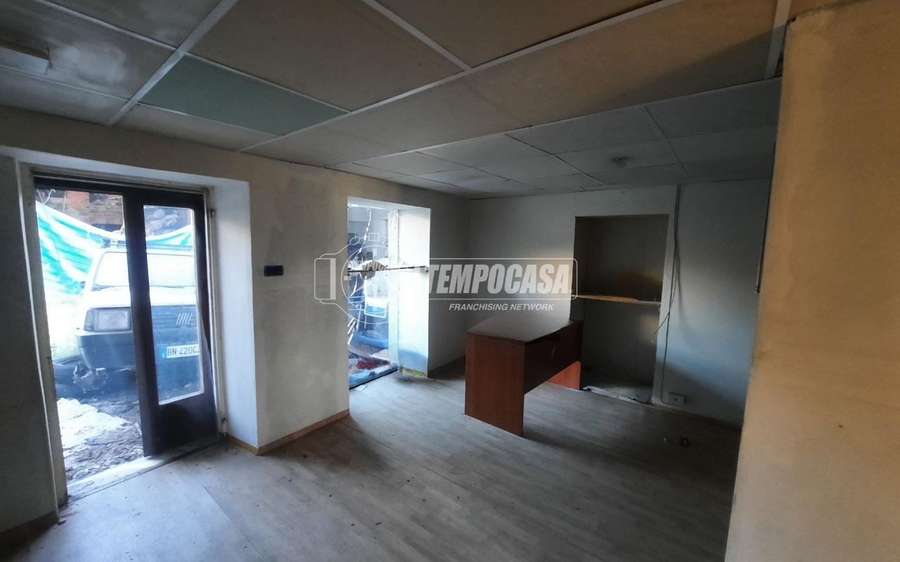 immagine annuncio 2 di 14