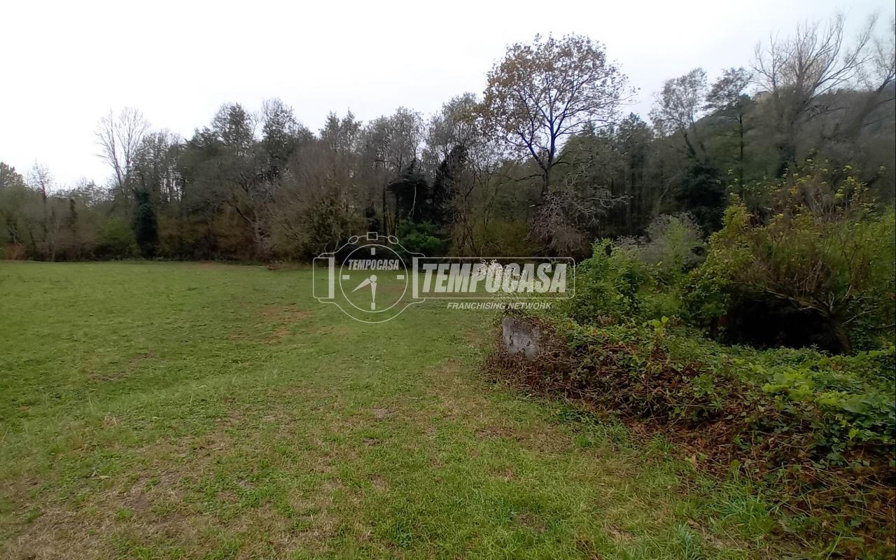 immagine annuncio 2 di 12