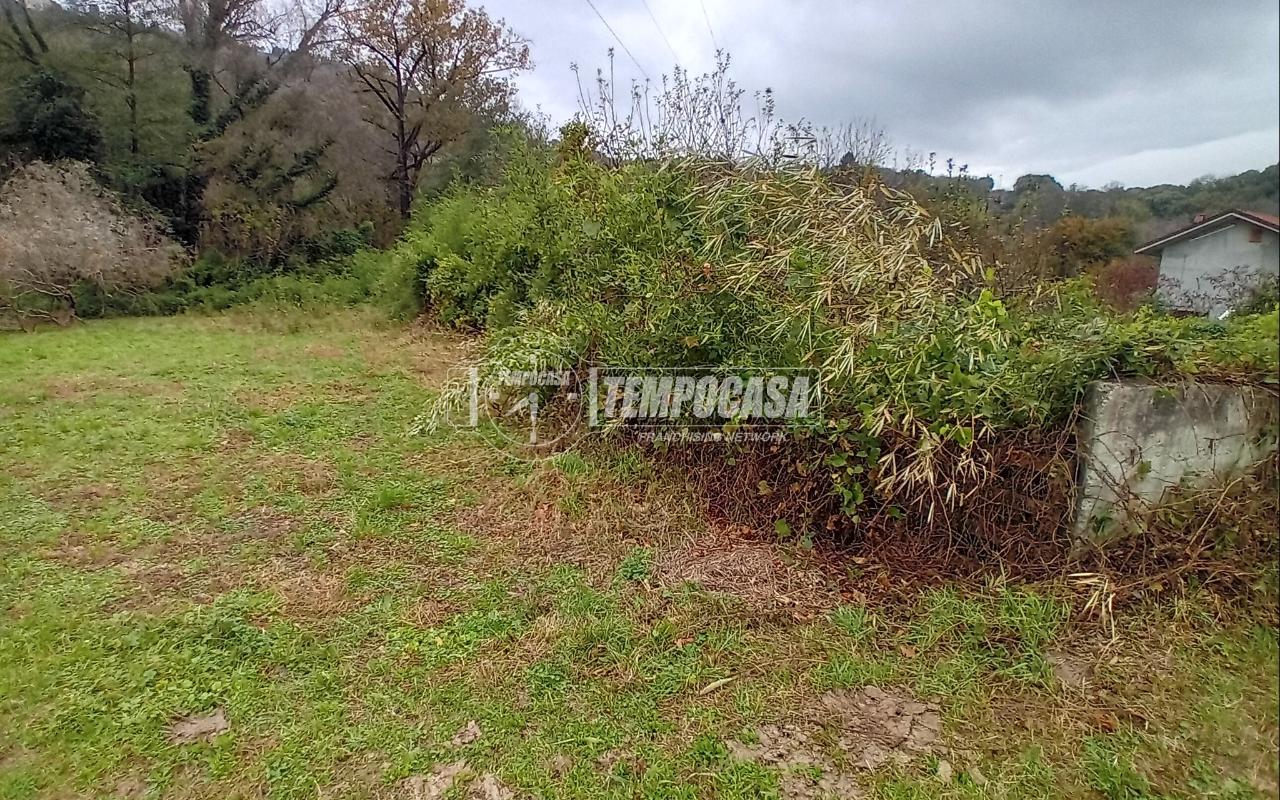 immagine annuncio 3 di 12