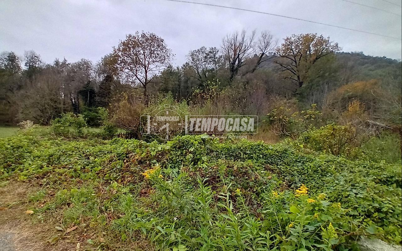 immagine annuncio 5 di 12