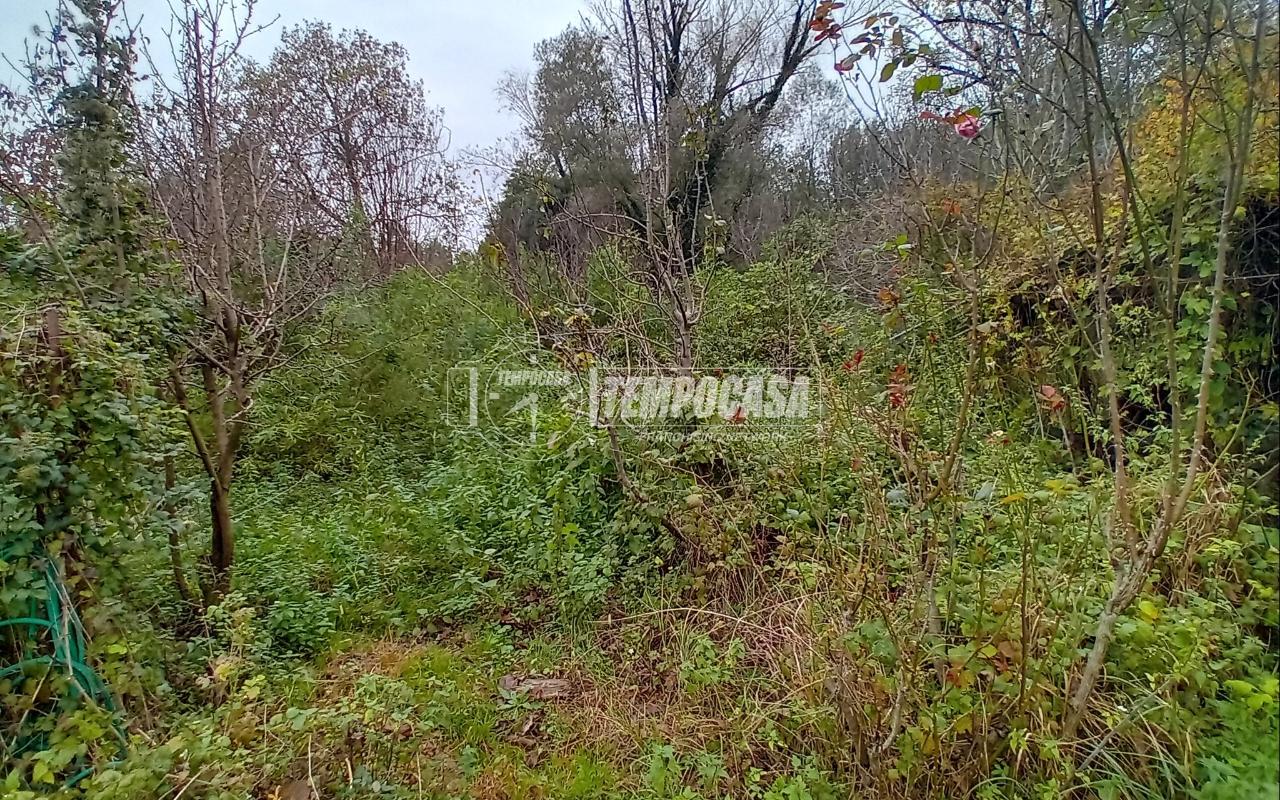 immagine annuncio 10 di 12