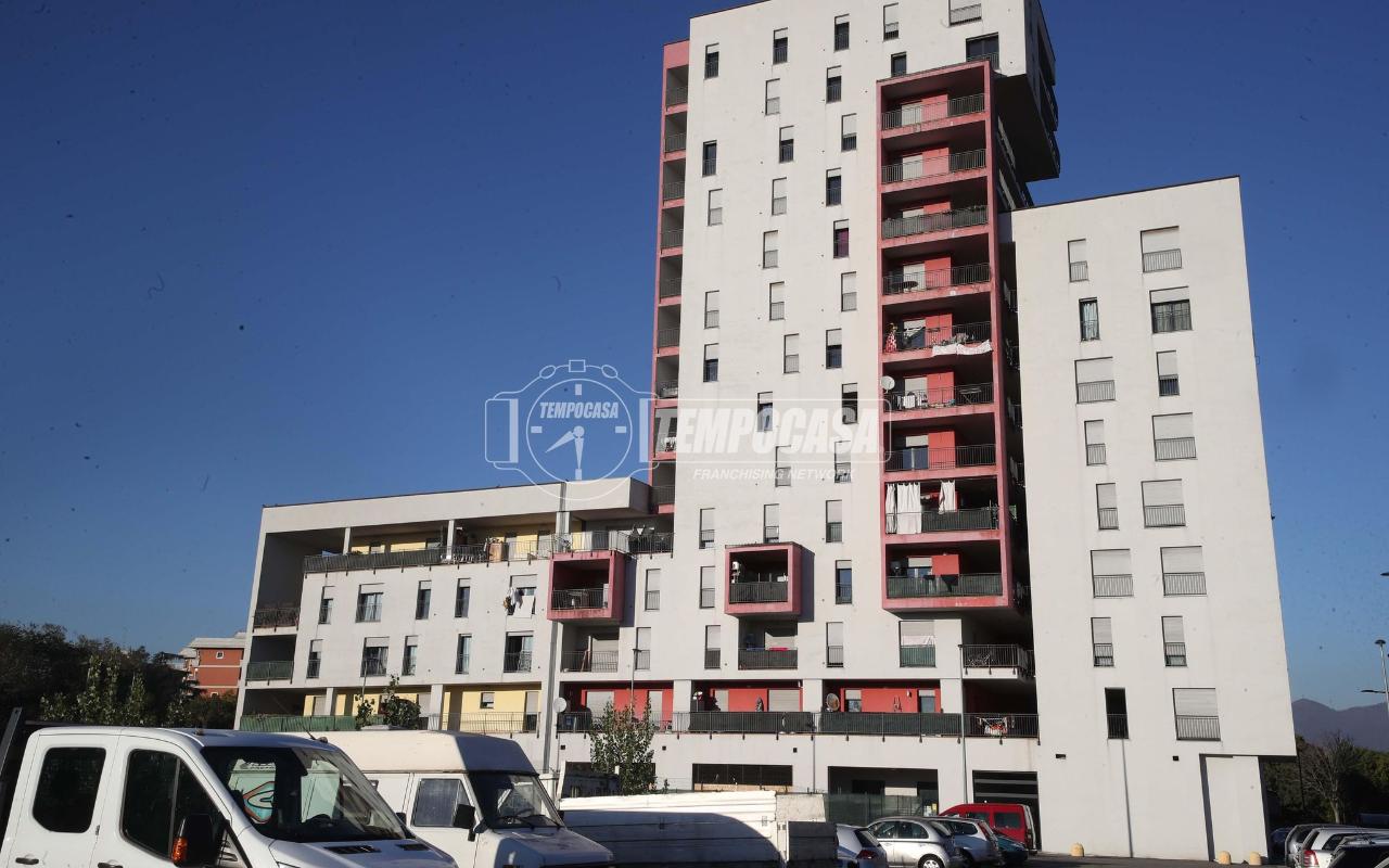 immagine annuncio 7 di 14