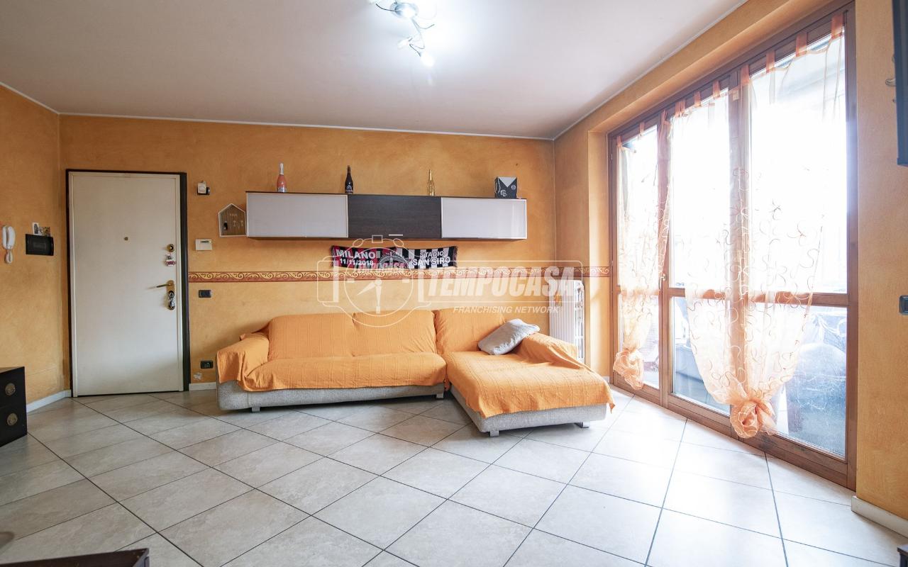 immagine annuncio 12 di 15