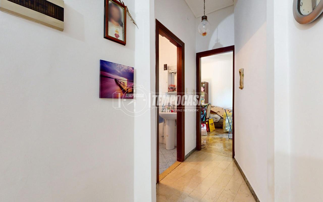 immagine annuncio 1 di 12