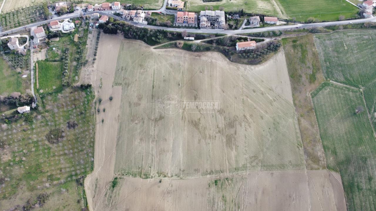 immagine annuncio 5 di 14