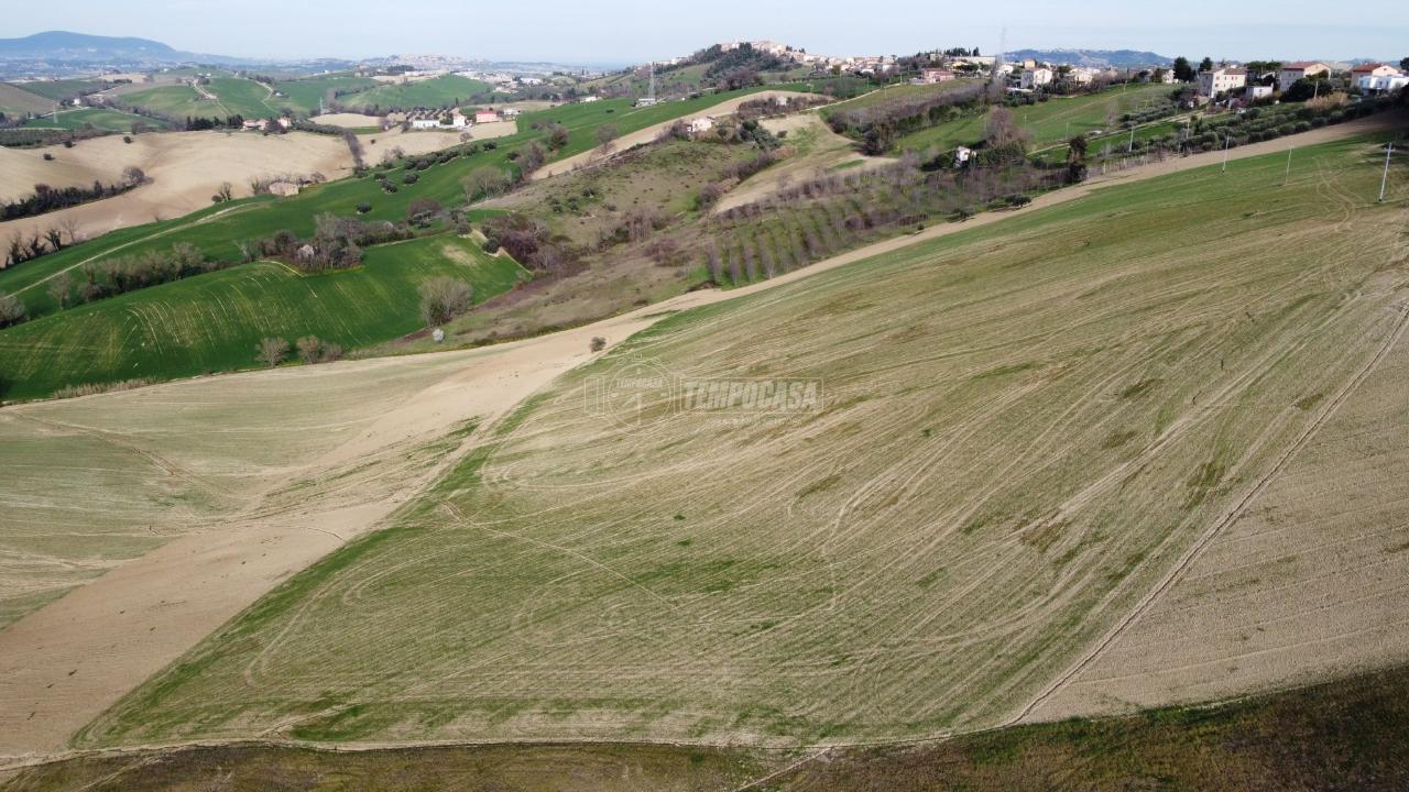 immagine annuncio 11 di 14