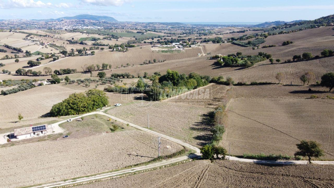 immagine annuncio 8 di 12