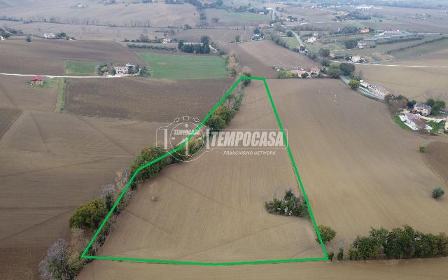 insertion image
