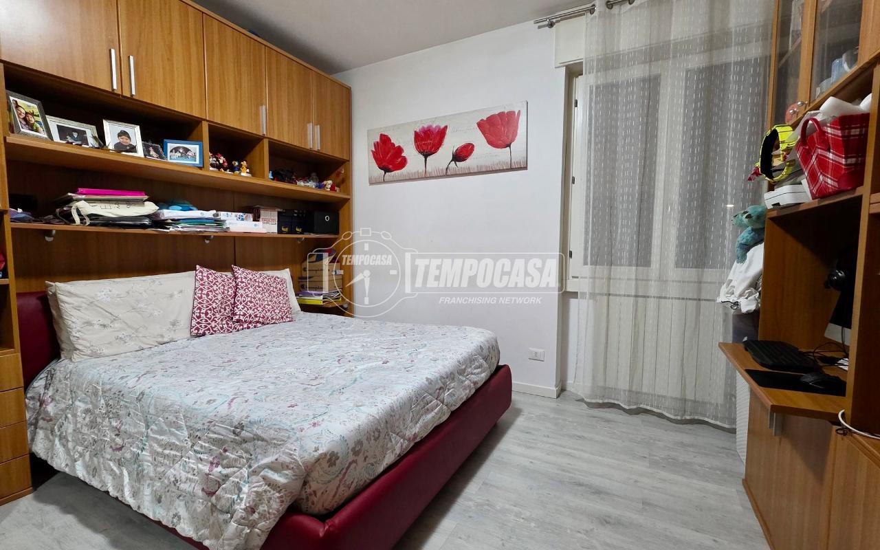 immagine annuncio 6 di 14