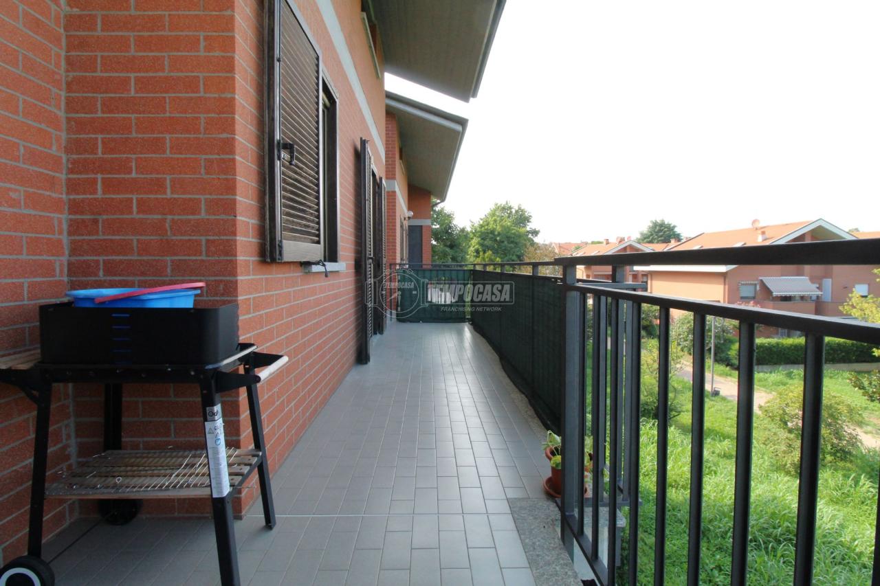 immagine annuncio 11 di 15