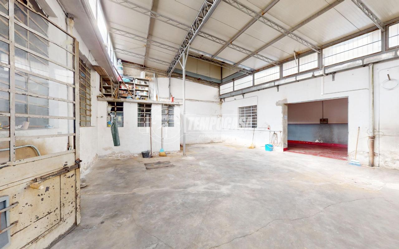 immagine annuncio 11 di 15