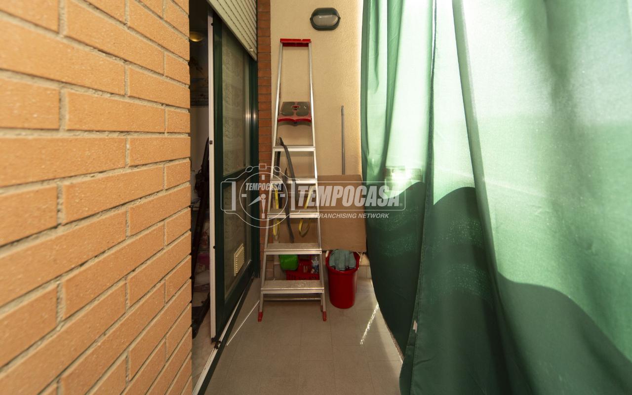 immagine annuncio 3 di 12