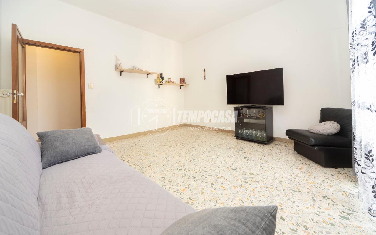 immagine annuncio 5 di 14