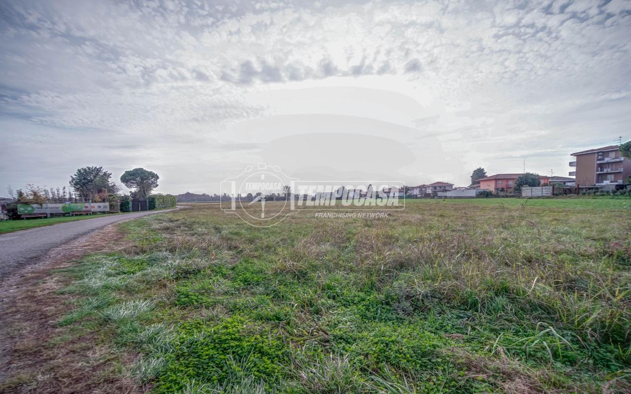 immagine annuncio 2 di 13