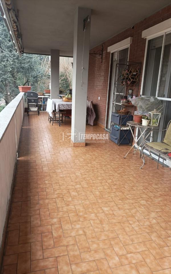 immagine annuncio 5 di 11