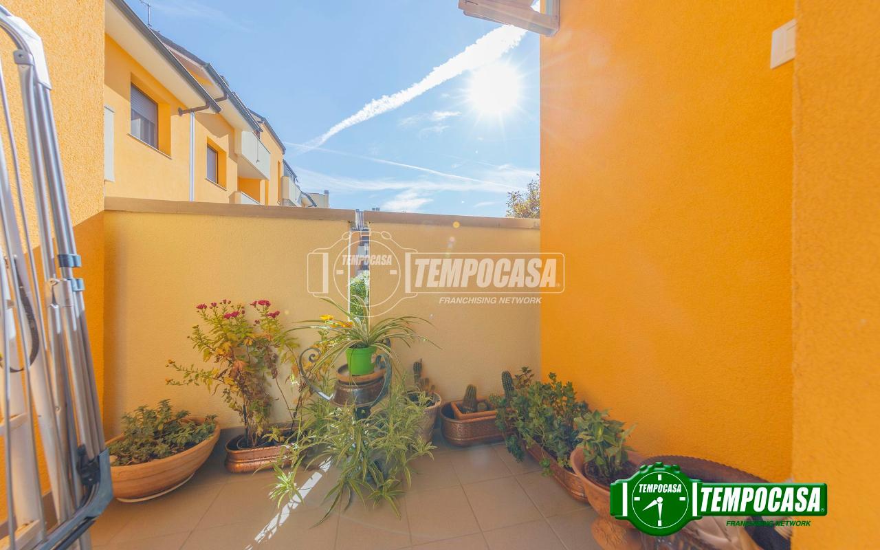 immagine annuncio 9 di 11