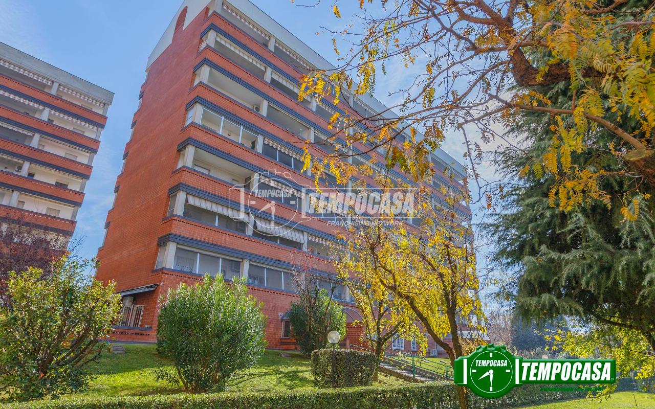 immagine annuncio 10 di 12