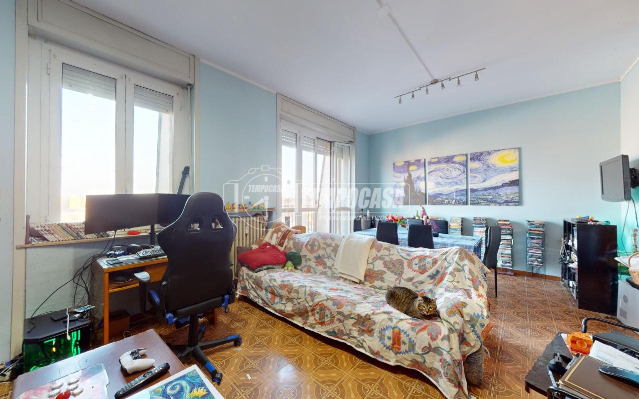 immagine annuncio 5 di 15