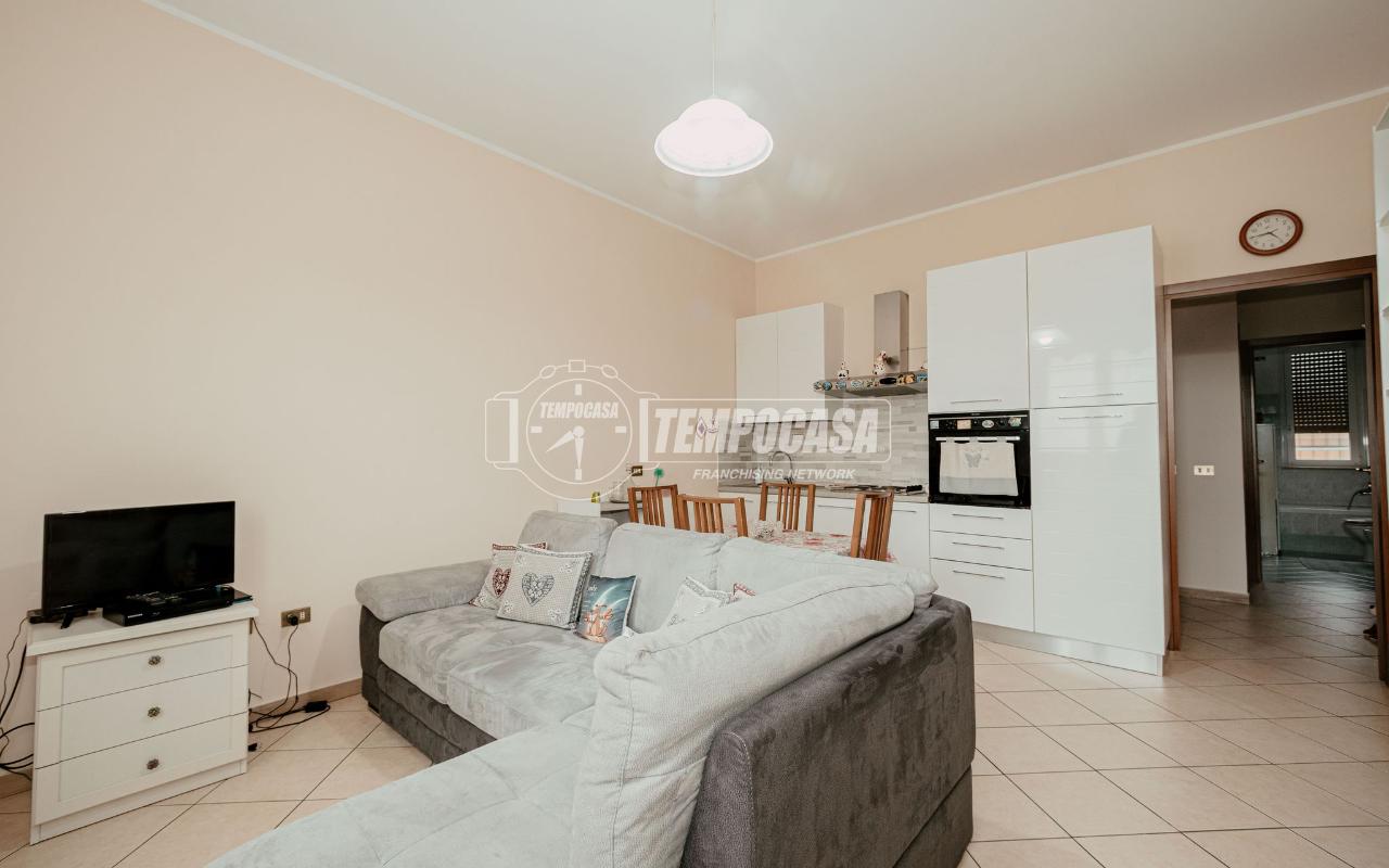 immagine annuncio 1 di 14