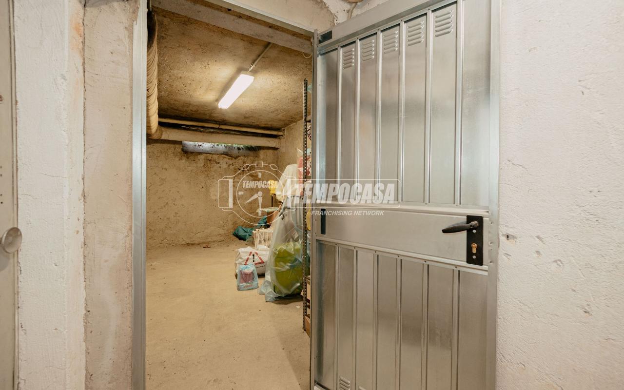 immagine annuncio 12 di 14