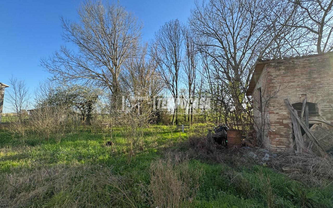 immagine annuncio 9 di 12