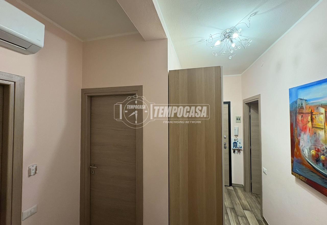 immagine annuncio 3 di 14