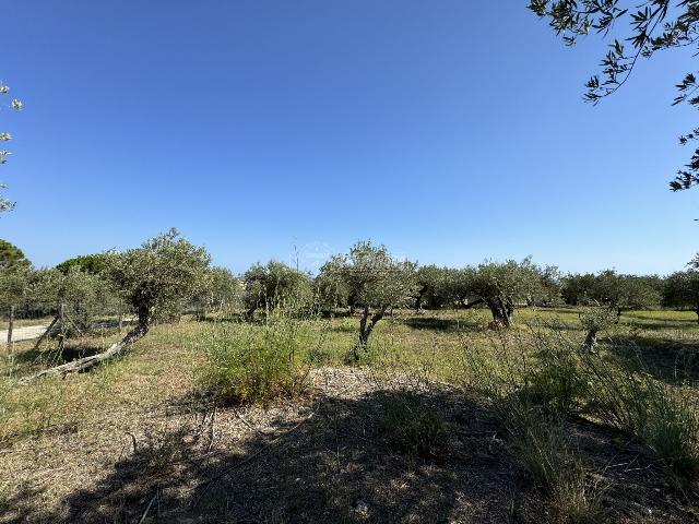 Terreno agricolo in {3}, - Foto 1