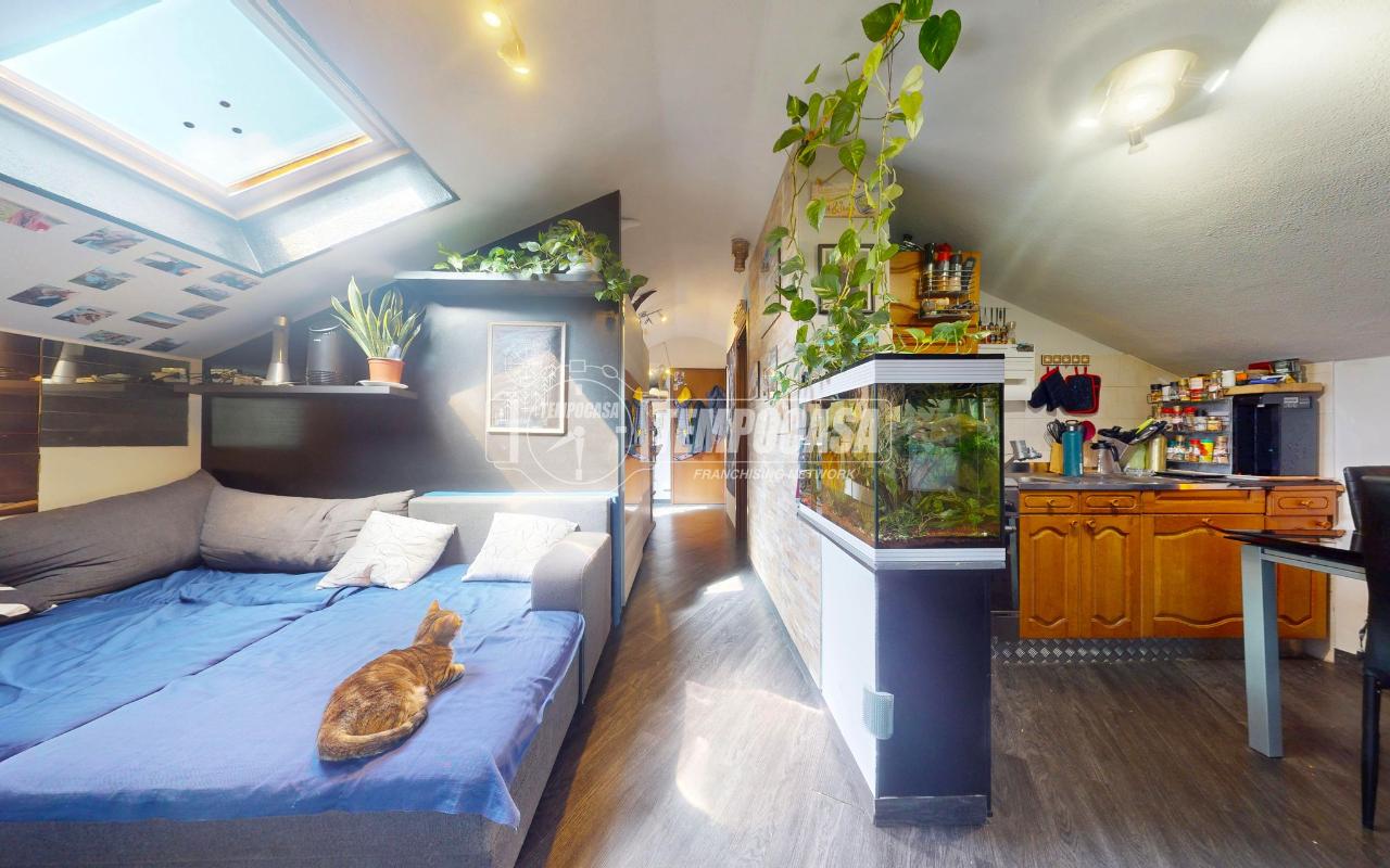 immagine annuncio 3 di 13