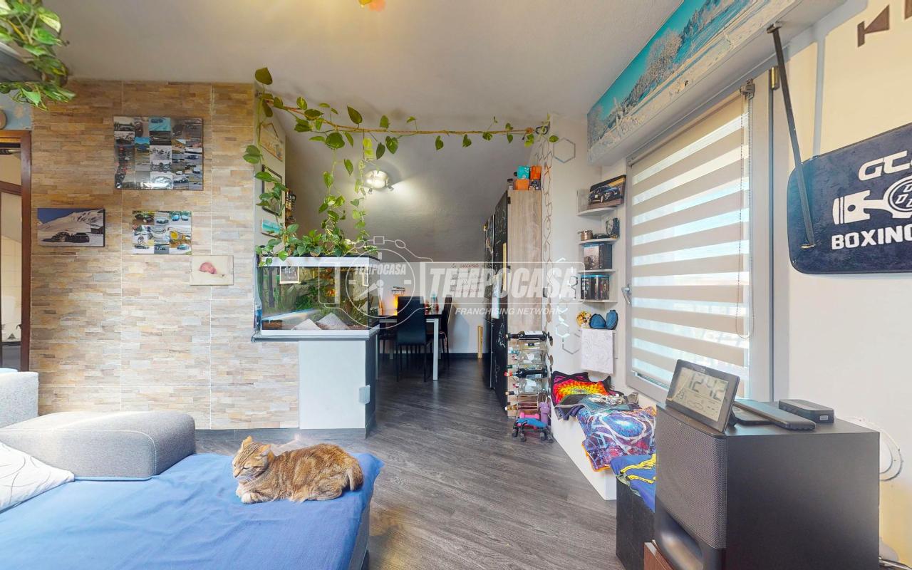 immagine annuncio 1 di 13