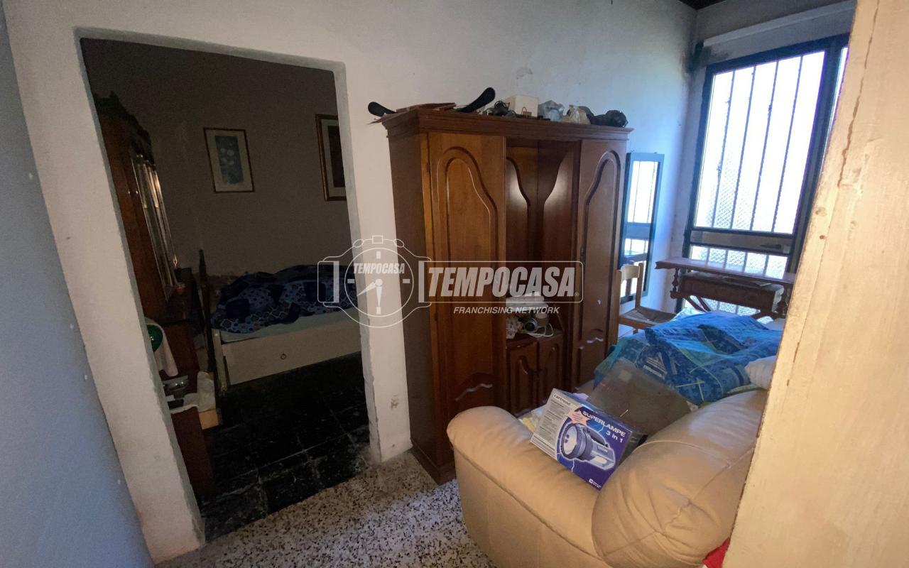 immagine annuncio 3 di 14