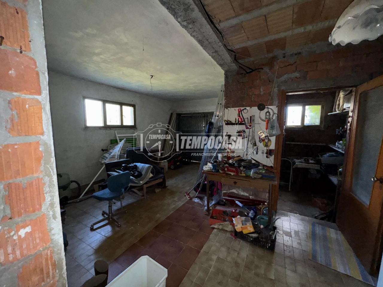 immagine annuncio 9 di 14