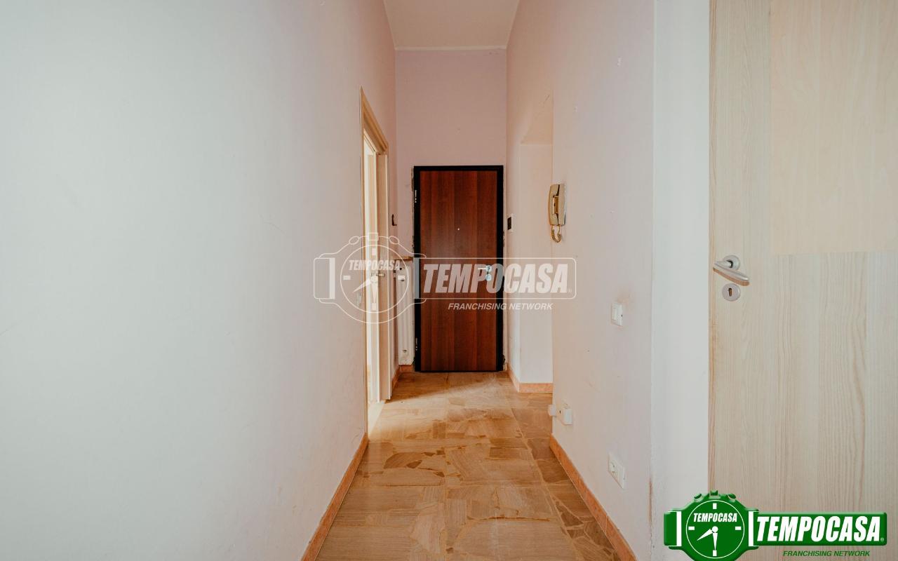 immagine annuncio 9 di 12