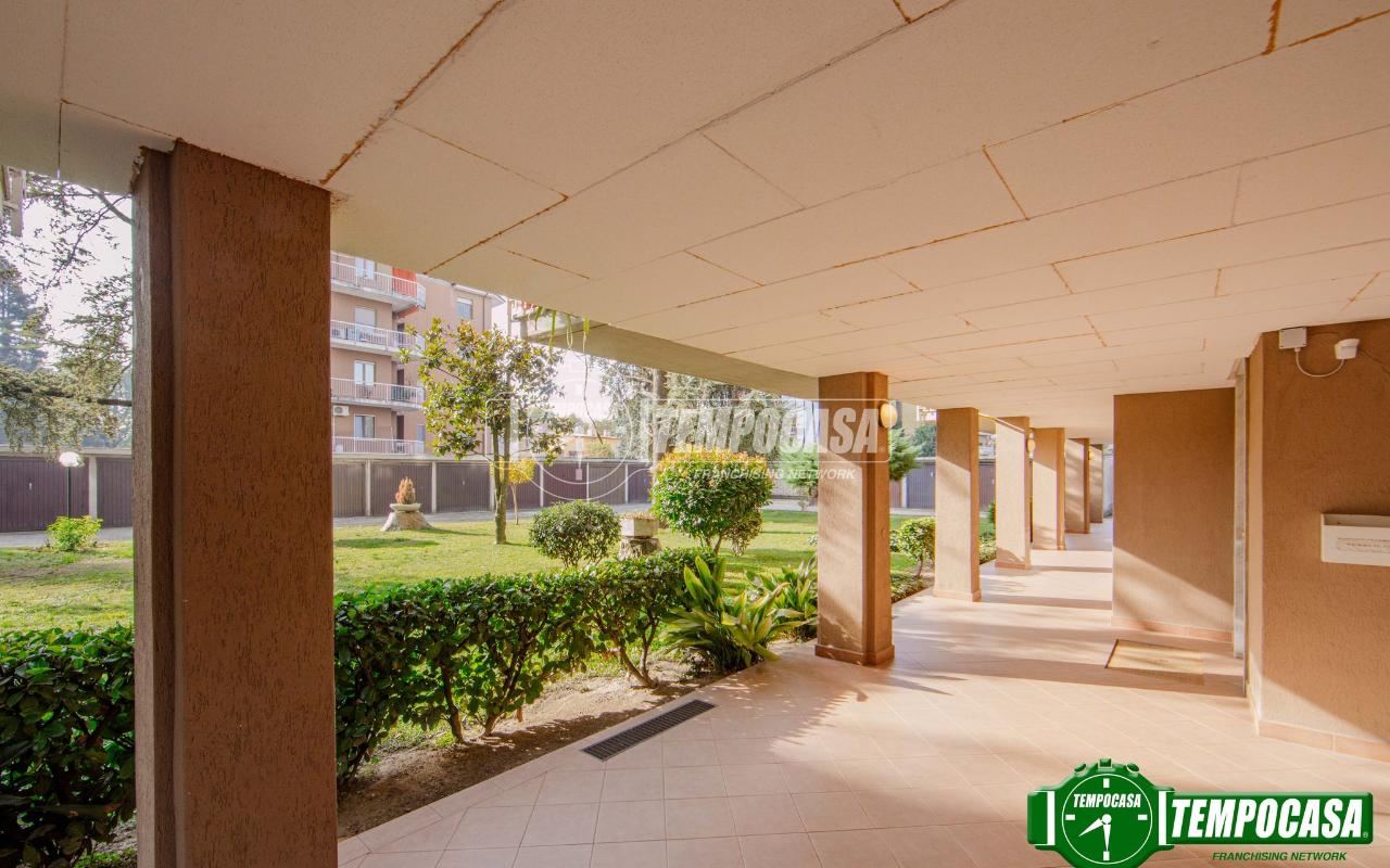 immagine annuncio 9 di 11