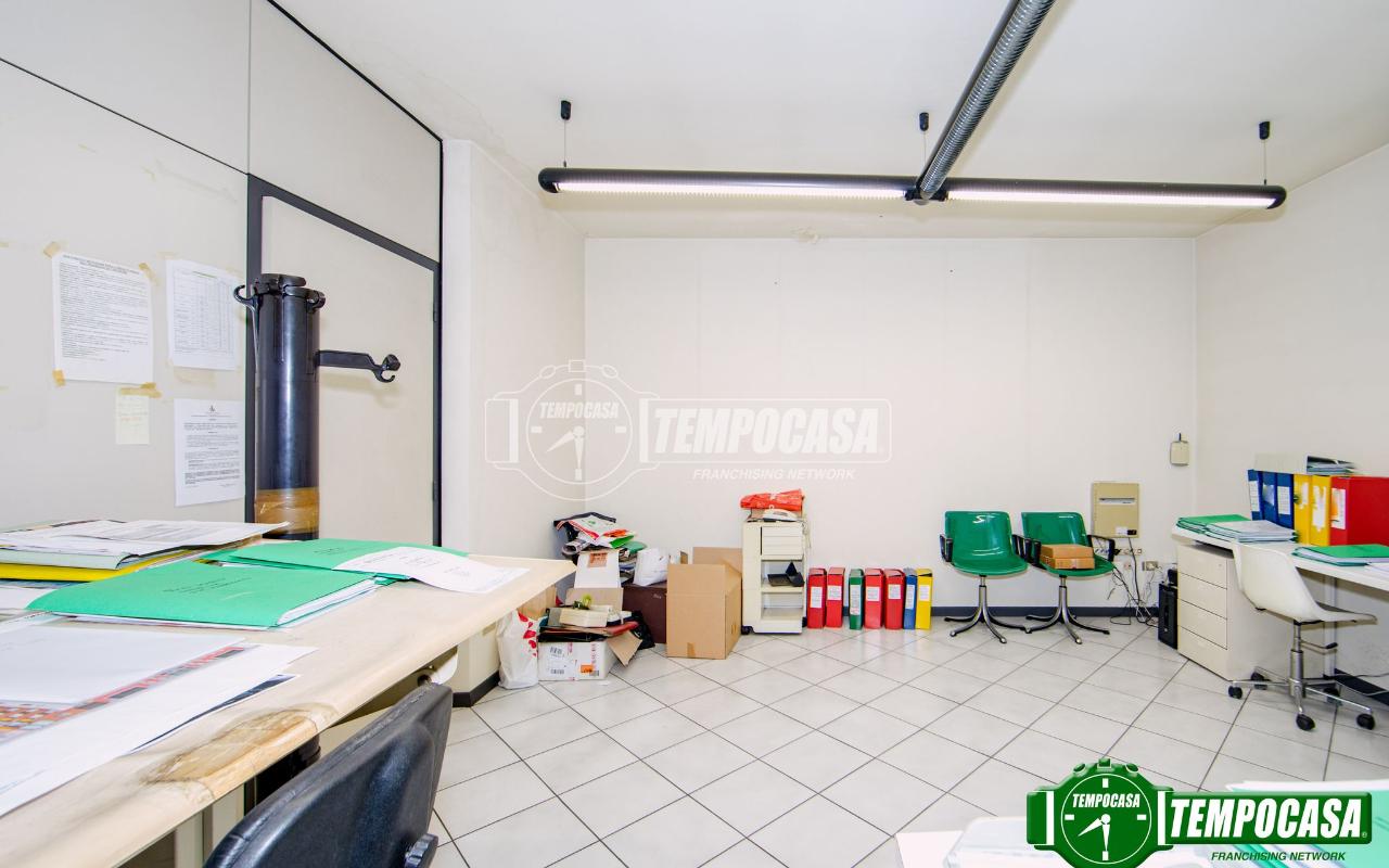 immagine annuncio 7 di 11