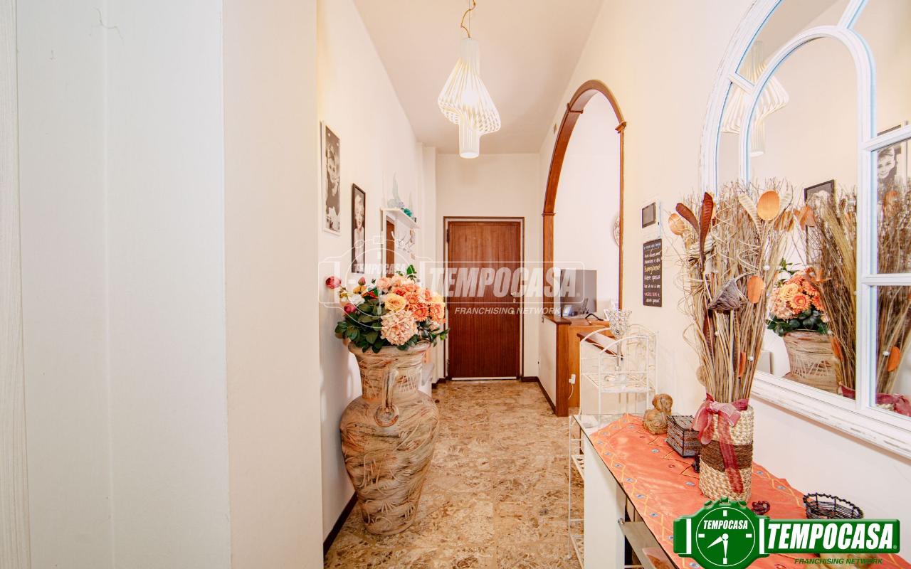 immagine annuncio 3 di 12