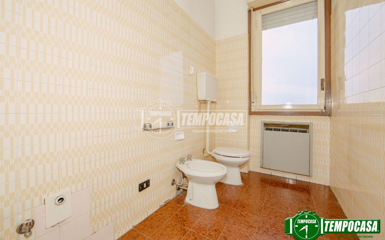 immagine annuncio 9 di 14