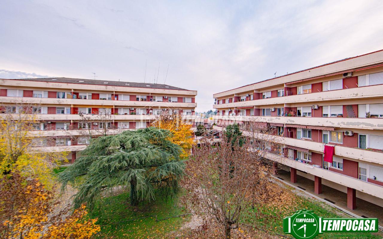 immagine annuncio 12 di 14