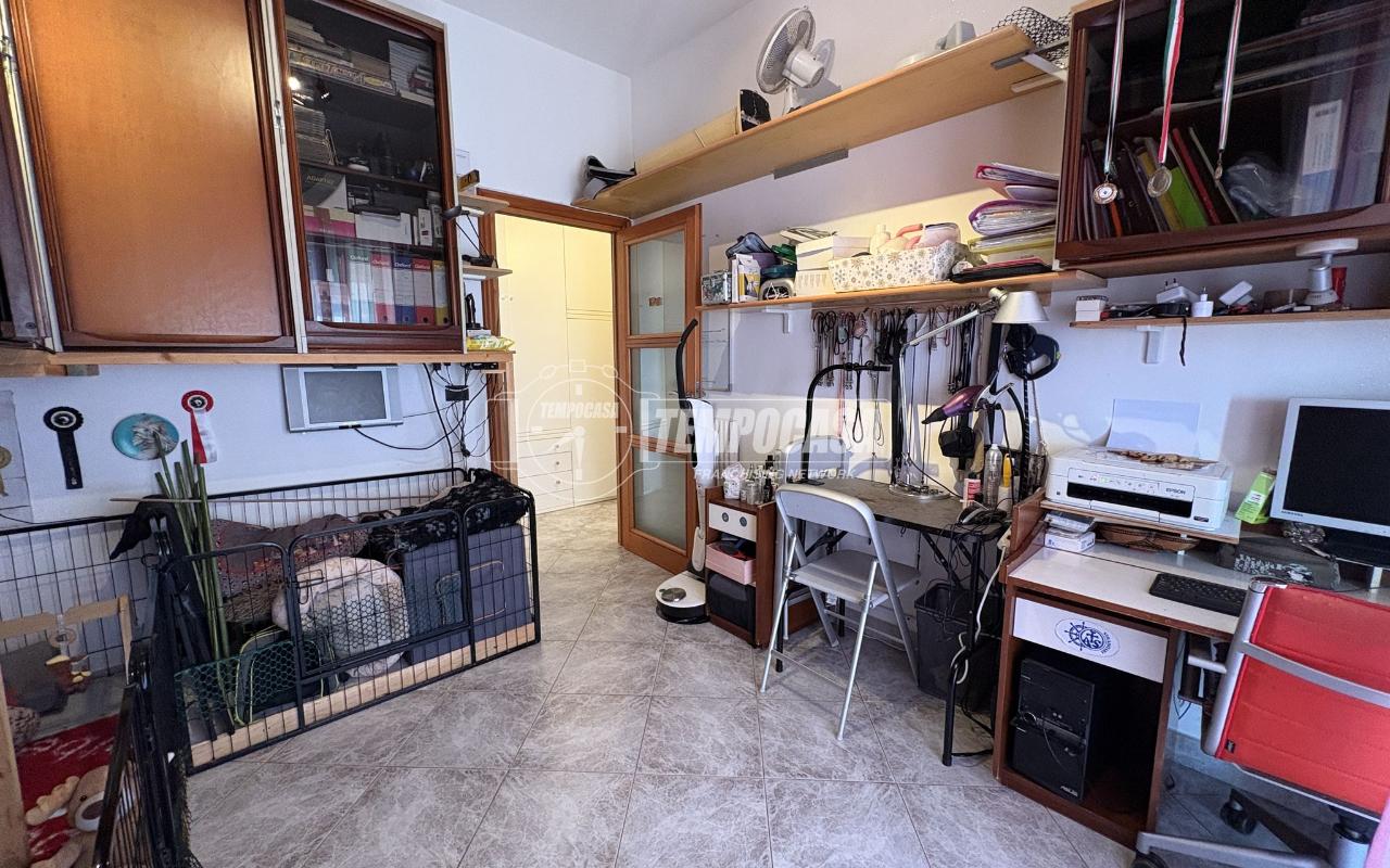 immagine annuncio 12 di 15