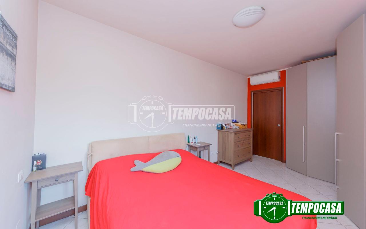 immagine annuncio 6 di 12