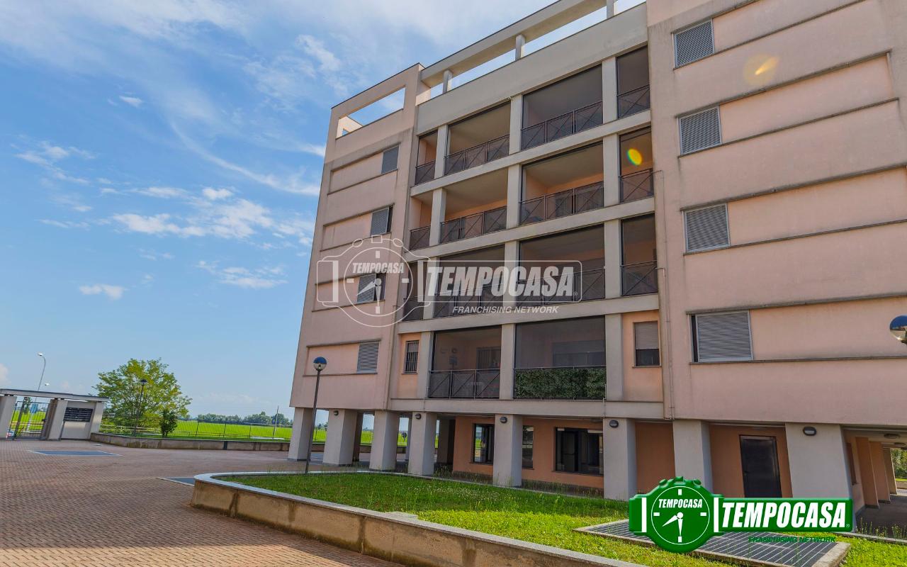 immagine annuncio 10 di 12