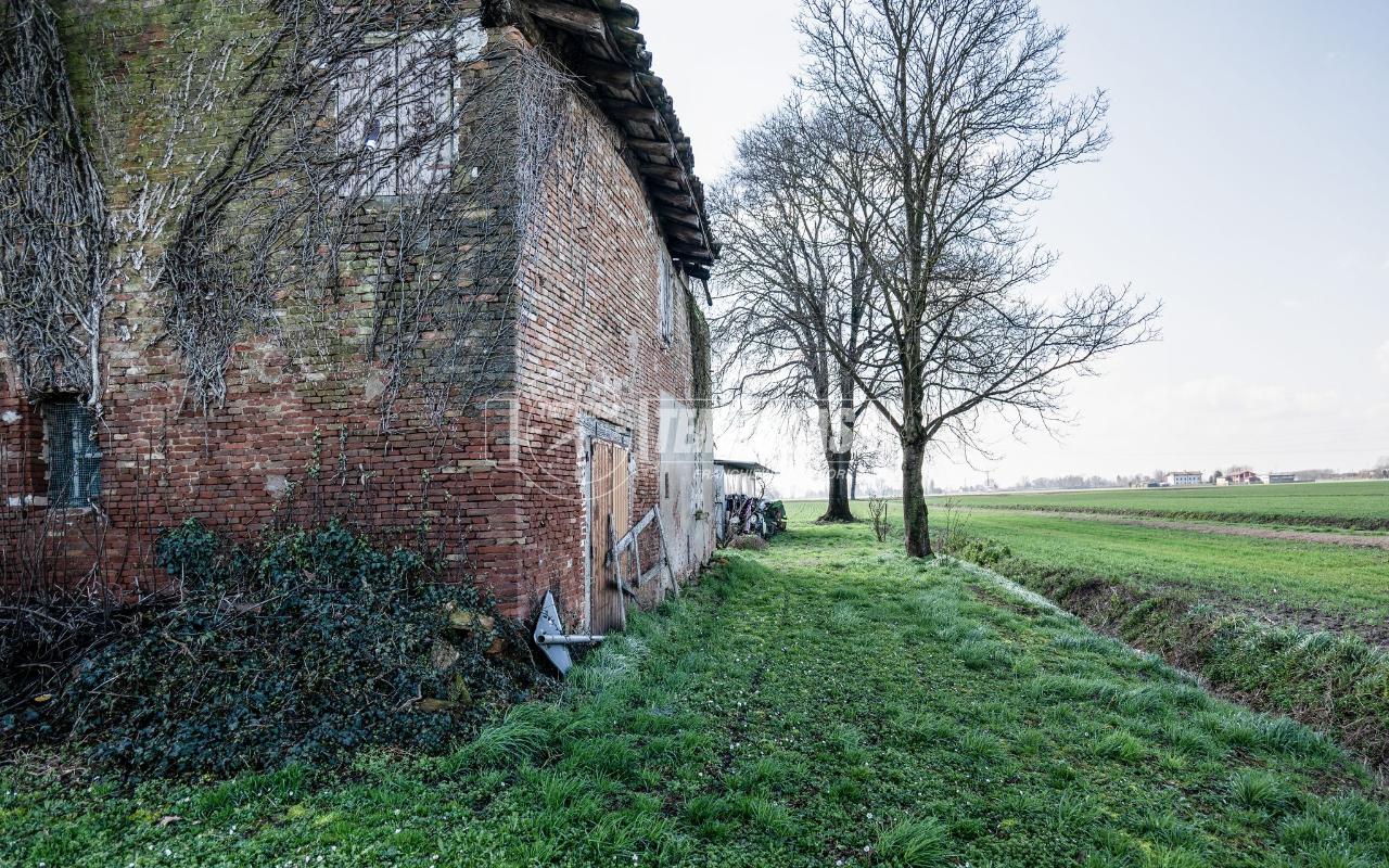 immagine annuncio 5 di 7