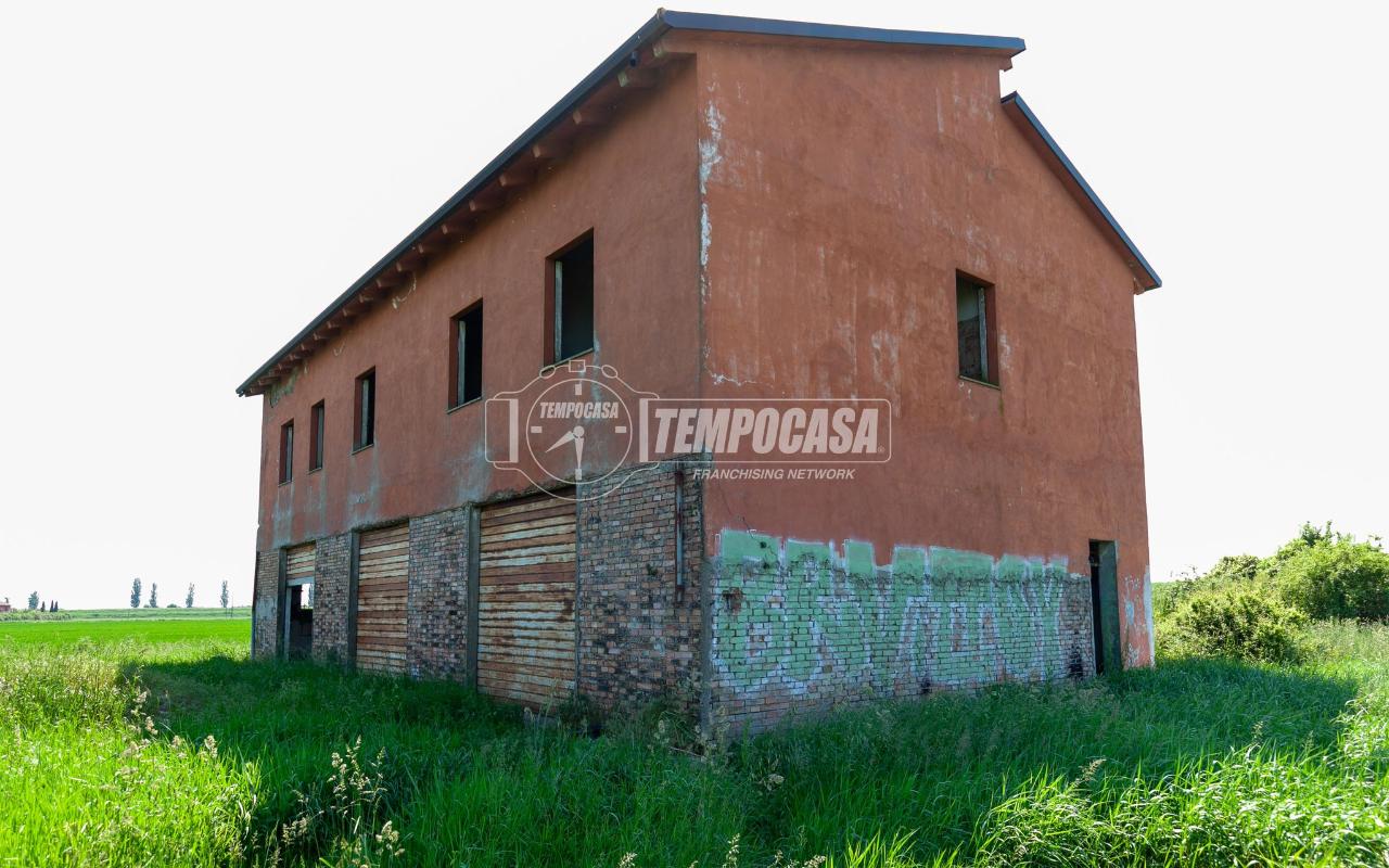 immagine annuncio 7 di 11